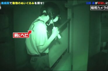 廃病院で肝試し川尻蓮