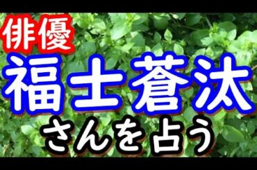 【占い】俳優　福士蒼汰さんを占う