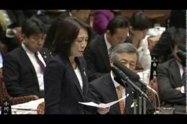 徳永エリ氏 籾井会長に関するアンケート取るも→総理「統計的に意味ないですよ」