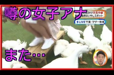 【衝撃】岡副麻希ｱﾅ　超ミニスカでやらかす