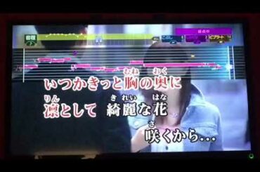 RINA /光「さくらの親子丼」主題歌(原曲キー)/音程バー歌詞付フル/カラオケ95点