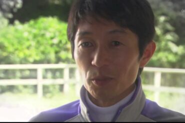 これならがいせんもんしょういけますよ　科捜研の女