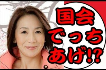 徳永エリ民主党参院議員が国会でウソ発言！？