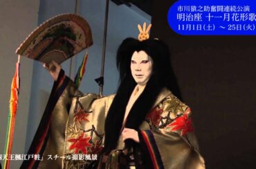 明治座 十一月花形歌舞伎 市川猿之助よりメッセージ！