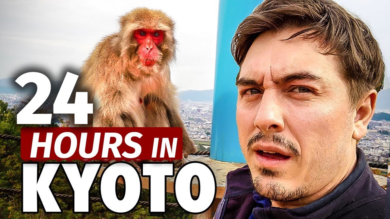 24 Hours in Kyoto | Japan's Best Monkey Park 24 Hours in Kyoto | Japan's Best Monkey Park