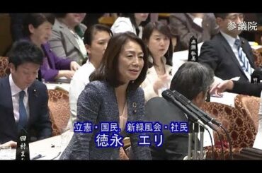 参議院 2020年03月05日 予算委員会 #08 徳永エリ（立憲・国民．新緑風会・社民）