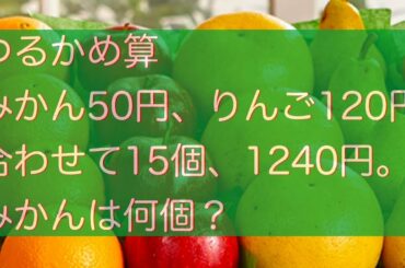 つるかめ算解法3パターン