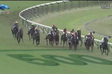 2019.11.24 Japan Cup – Suave Richard 2019.11.24 Japan Cup - Suave Richard