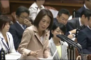 稲田朋美防衛大臣のフルボッコ国会！徳永エリ(民主党)が発狂し審議拒否→その後安倍晋三が論破！最新面白国会中継2016年10月13日