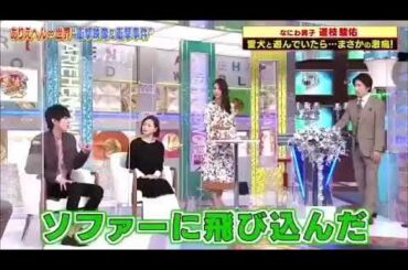 鼻が折れたみっちー