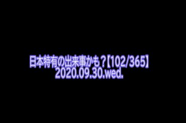 瀬戸大也競泳主将を辞退【ほっこり話】#102 深い穀物のタンクに落ちた携帯【365日投稿】