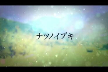 【リリックビデオ】ナツノイブキ／Vermilion