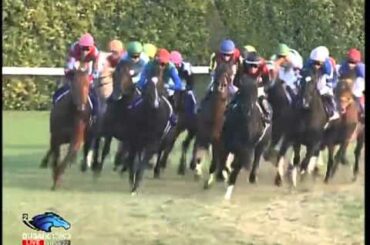2013.11.24 Japan Cup - Gentildonna