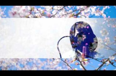 福山雅治/桜坂（Full Cover by Lefty Hand Cream）