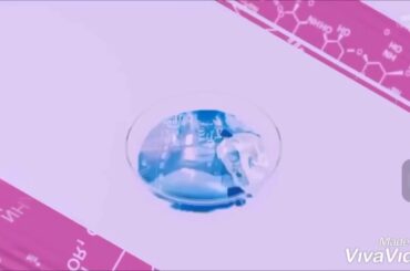 科捜研の女 season16 オープニング