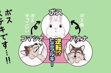 リラクトコミックス「うさぎは正義」作品紹介CM
