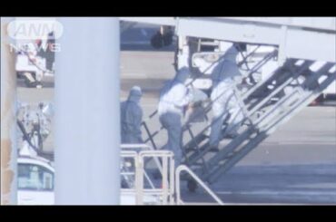 日本で新たに3人が感染　再検査で陽性反応も(20/02/02)