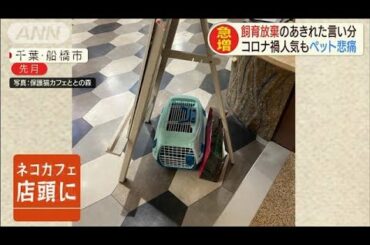 コロナ禍でペットに悲劇　飼育放棄が急増　実情は・・・(2020年9月24日)