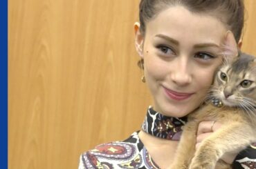 【インタビュー】ダレノガレ明美が“猫愛”語る　動物愛護への尽力も宣言