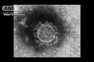 新型コロナ　死亡した女性は「陽性」男性の義母(20/02/14)