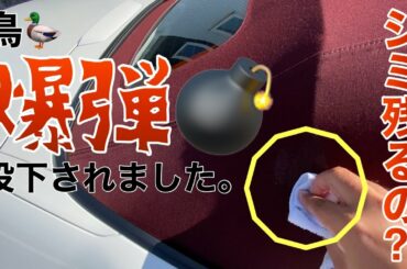 【超絶簡単】幌の汚れ解決方法をググって試してみたら最高だった🤭