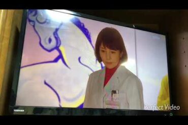 科捜研の女19 オープニング