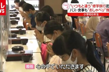 コロナ禍で苦境“いつもと違う”修学旅行（2020年9月30日放送「news every.」より）