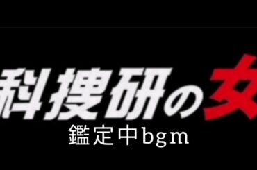 科捜研の女 鑑定中bgm