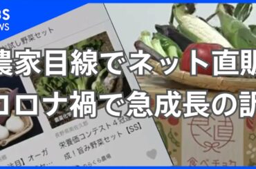 農家目線でネット直販 コロナ禍で急成長の訳【Bizスクエア】