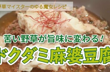 ドクダミ麻婆豆腐で苦い野草が旨味に変わる魔法の様な絶品野草料理！