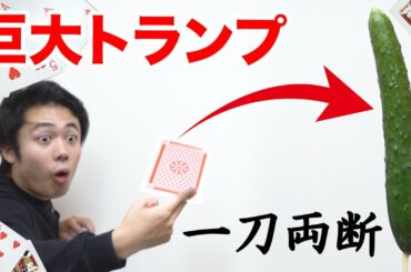 巨大トランプならきゅうりを一瞬で一刀両断できる説！？
