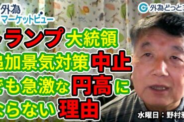 FX「トランプ大統領、追加景気対策中止でも急激な円高にならない理由」【外為マーケットビュー】2020/10/7（水）野村雅道