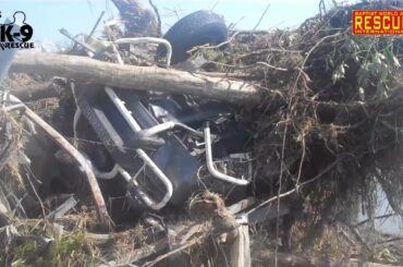 Julius-K9® Rescue 24 Japan 2011