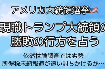 【米大統領選占い予報⑤】トランプ大統領は再選出来るか？を占う【タロット占い】