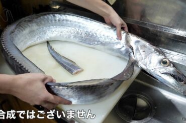 【バケモン】指12本サイズのウルトラ太刀魚のお腹からとんでもない物が出てきました。こんな物食べるの！？