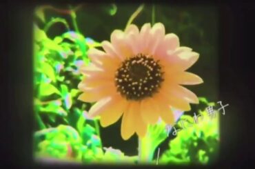 メンズ校　エンディング