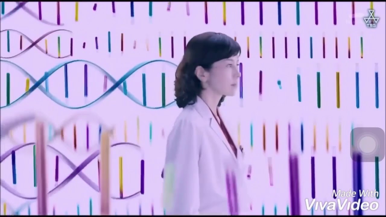 科捜研の女 season15 オープニング