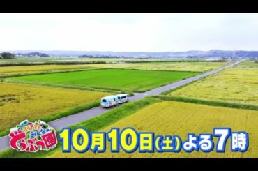 「I LOVE みんなのどうぶつ園」10月10日土曜よる7時放送!御蔵島の野生イルカに安藤サクラが会いに行く! 「I LOVE みんなのどうぶつ園」10月10日土曜よる7時放送!御蔵島の野生イルカに安藤サクラが会いに行く!