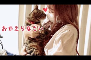 旅行から帰ると愛猫が可愛い『おかえりなさい』してくれました！