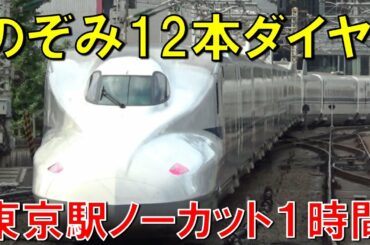 東京駅　のぞみ12本ダイヤ　ノーカット撮影　東海道新幹線