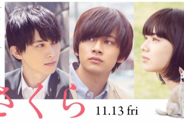 映画『さくら』予告（60秒）2020年11月13日（金）全国ロードショー