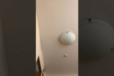 「北岡悟丼」と「まりな丼」について、栄養士の観点からお話します