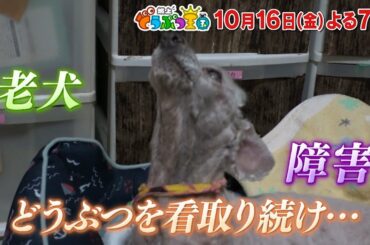 【公式】10月16日（金）「坂上どうぶつ王国」予告