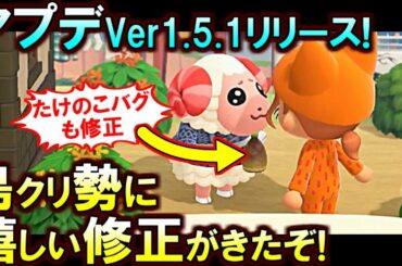 (あつ森)島クリ勢をかなり悩ませていた○○が修正＆たけのこバグ修正!最新アプデver1.5.1を解説していくぞ(あつまれどうぶつの森)