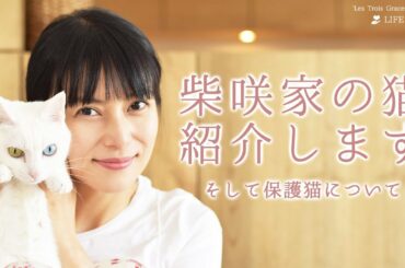 のえるとクレア、手作り猫ご飯 | 柴咲コウ