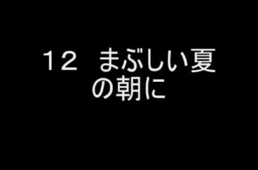 シューマン詩人の恋.wmv