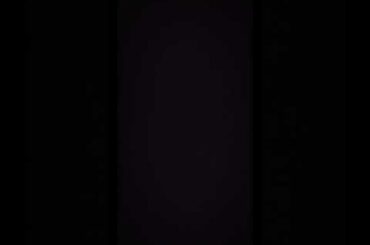 まりな丼は北岡悟丼のパクリだ！