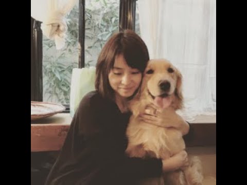 石田ゆり子さん インスタで人気の愛犬 雪がテレビ初出演へ 芸能人の飼っている愛犬のまとめ9 Tkhunt 石田ゆり子さん インスタで人気の愛犬 雪がテレビ初出演へ 芸能人の飼っている愛犬のまとめ9 Tkhunt
