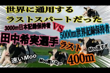 #ラスト400mが凄い 田中希実(たなか　のぞみ）選手　日本新記録樹立の3000m
