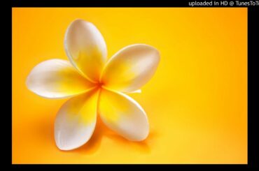 MARRY ME／Dreams Comes True